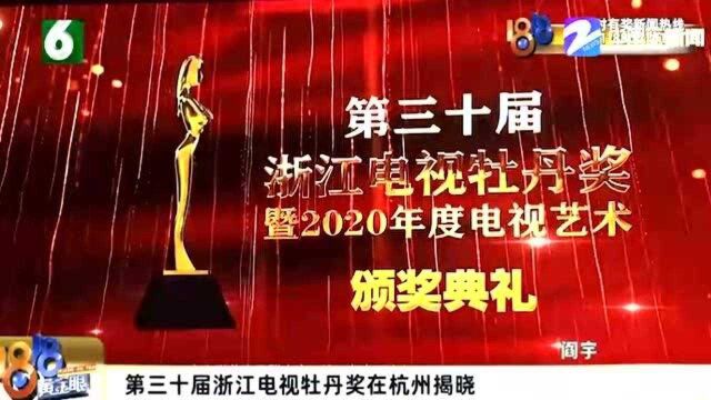 第三十届浙江电视牡丹奖 暨2020年度电视艺术颁奖典礼举行