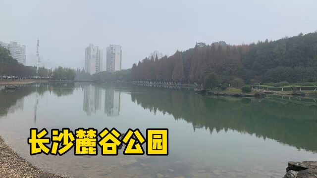 长沙麓谷公园,空气清新,湖景一流,藏在城市里的绿肺,速来打卡