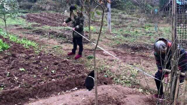 90后小伙打造农村花园小院,简单大气的围墙设计,既原生态又能赏花