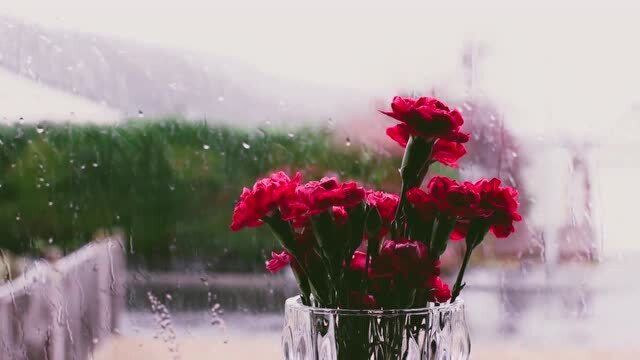 钢琴搭配下雨的声音,理想的入眠曲