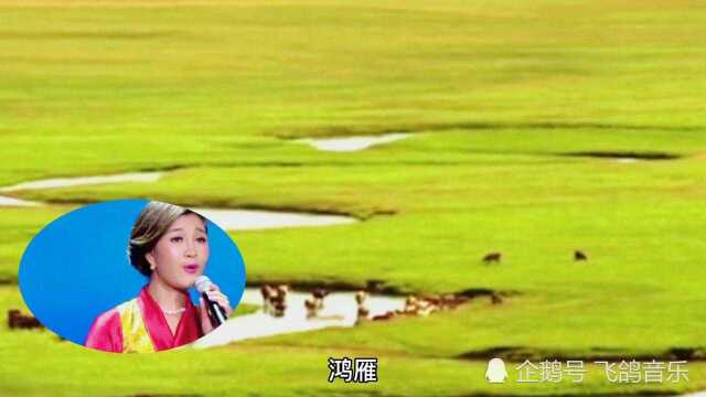 降央卓玛经典歌曲《鸿雁》