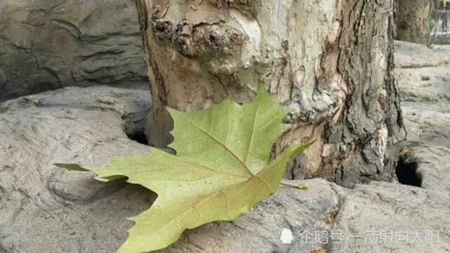 小城,每一眼的顾盼留恋与回眊,都是一个美丽的故事