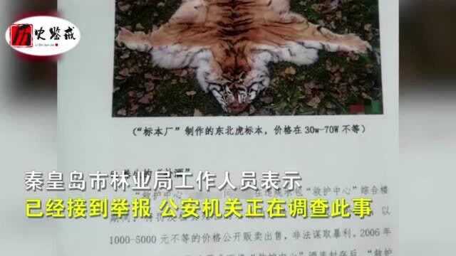 秦皇岛野生动物救护中心,被举报卖虎骨酒吃虎肉,林业局:警方正在调查