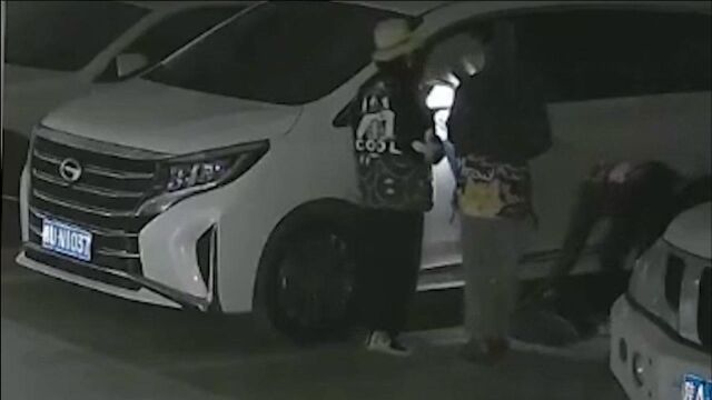 西安城南一小区车库15辆车车窗被砸 10人犯罪团伙被打掉