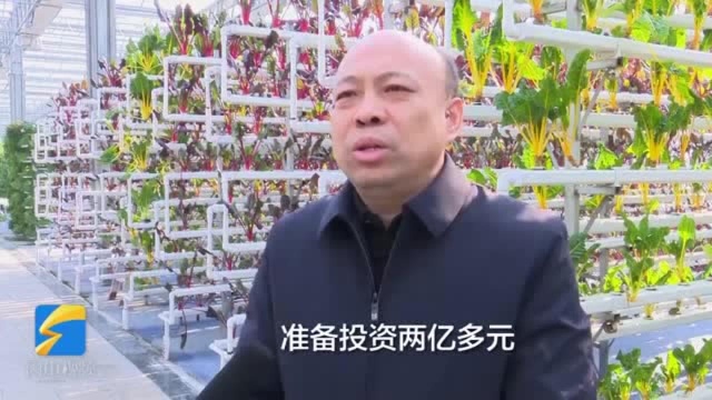 65秒|建设“鲁西种苗谷”开展种源技术攻关!聊城莘县要打造中国种苗第一县