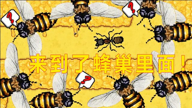 蚂蚁进攻计划09:筹谋已久的战斗打响了,结果红蚂蚁窝里空无一人真失望!