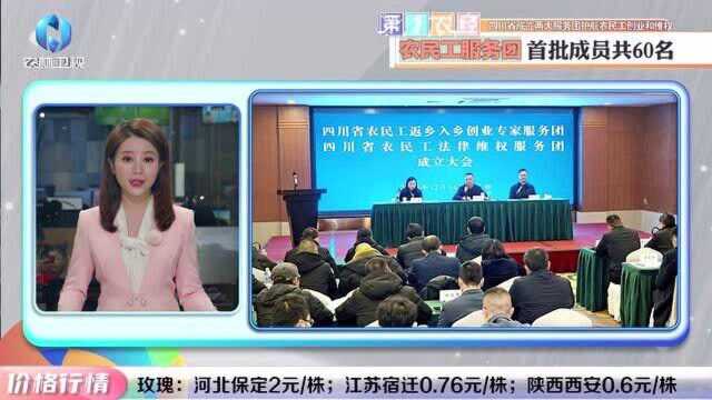 【农经资讯】四川省成立两大服务团护航农民工创业和维权