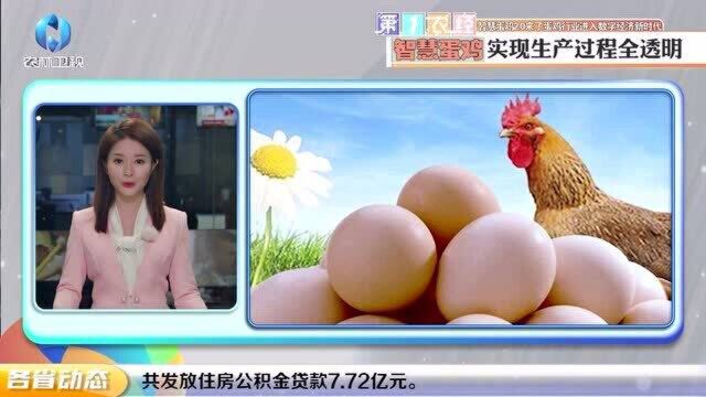 【农经资讯】智慧蛋鸡2.0来了 蛋鸡行业进入数字经济新时代