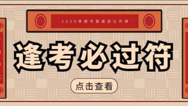 【公选王】——2020孝感市直遴选笔试公开课(十)