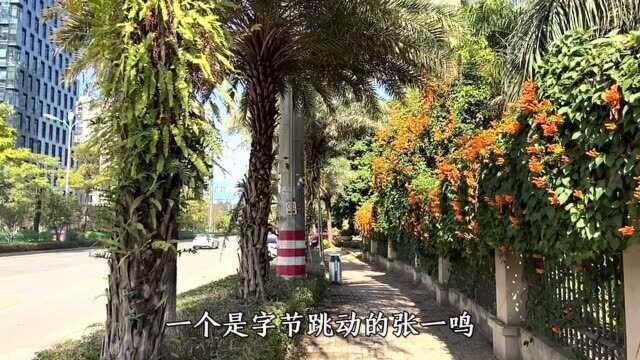 实拍张一鸣老家,龙岩市的“字节跳动”大楼,36岁就成为福建首富