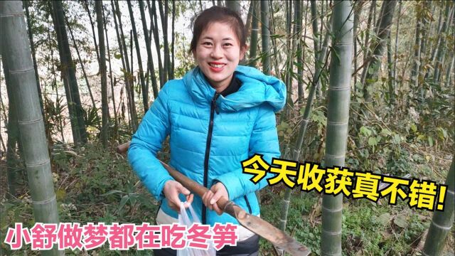 馋嘴小舒做梦吃冬笋,今天急忙忙上山去挖,收获真不错!