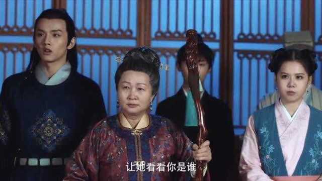 少爷与我的罗曼史:奶奶知晓如夫人所做恶事,如夫人跪地求宽恕