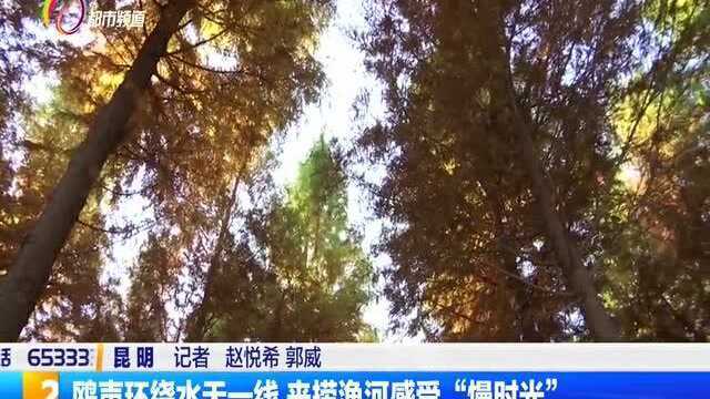 鸥声环绕水天一线,来捞渔河感受“慢时光”