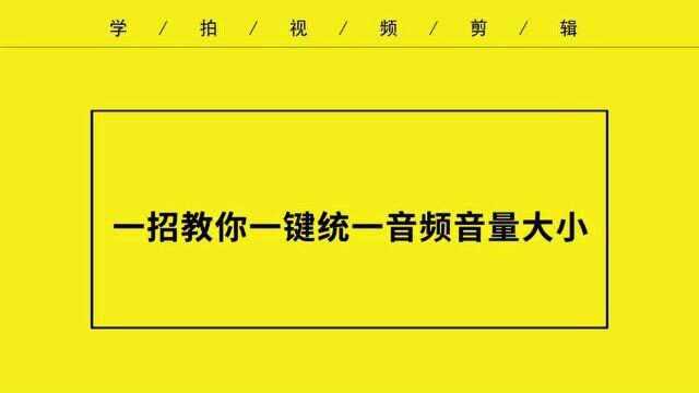 视频声音大小不一怎么办?一键教你统一音量大小,简单实用