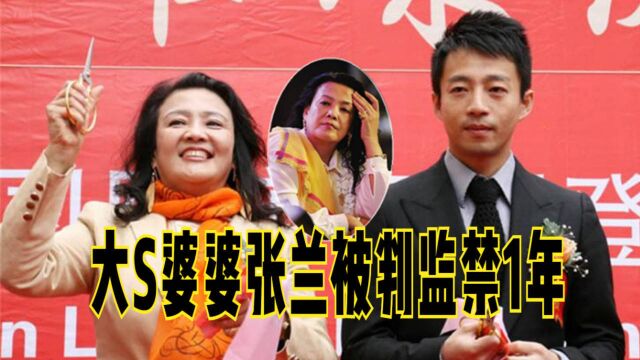 大S婆婆张兰被判监禁1年,法官下令拘捕,申请提交新证据遭驳回