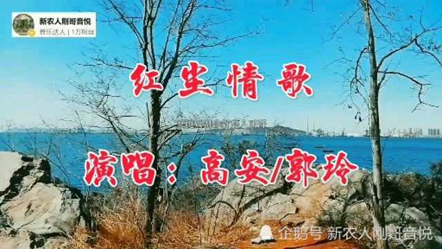 高安郭玲DJ版歌曲《红尘情歌》,轰轰烈烈曾经相爱过,卿卿我我成传说!