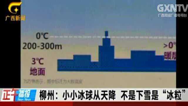 广西柳州下雪了?市民兴奋热议,专家做出解释