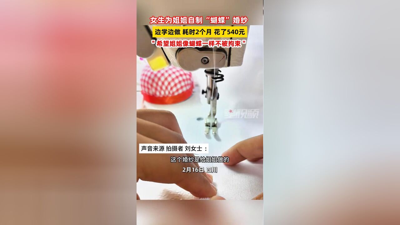 女生为姐姐自制“蝴蝶”婚纱 边学边做耗时2个月