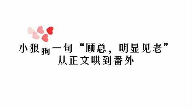 小狼狗一句“顾总,明显见老”,从正文哄到番外