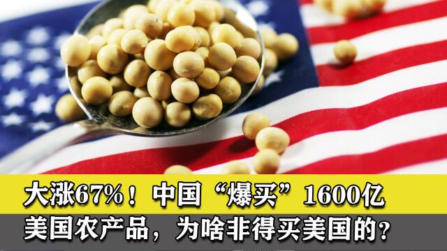 大涨67%!中国“爆买”1600亿美国农产品,为啥非得买美国的?