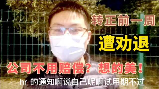 试用期6个月,转正前几天遭劝退?别那么老实,有笔钱你别忽略了