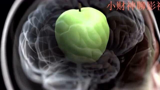 人体的惊奇力量  感官的力量!第4集