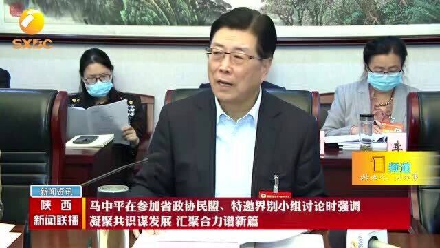 马中平参加省政协民盟、特邀界别小组讨论