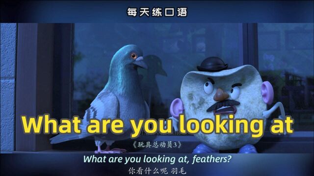 看电影学英语口语~What are you looking at