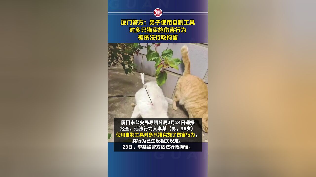 厦门警方:男子使用自制工具对多只猫实施伤害行为,被依法行政拘留