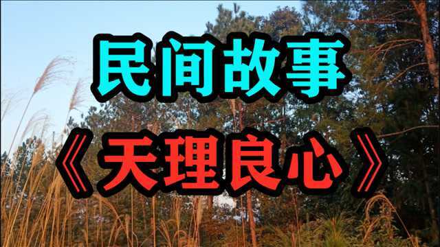 民间故事《天理良心》很久以前在一座大山里生活着一对兄弟