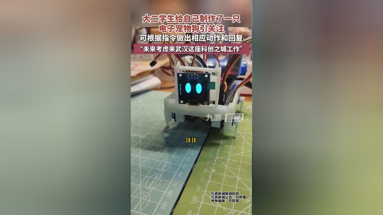 湖北大二学生为自己制作了一只电子宠物狗引关注“未来考虑来武汉这座科创之城工作”