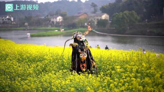 满园春色!天坪山300亩油菜花惊艳绽放 上游摄影团队非遗闹春