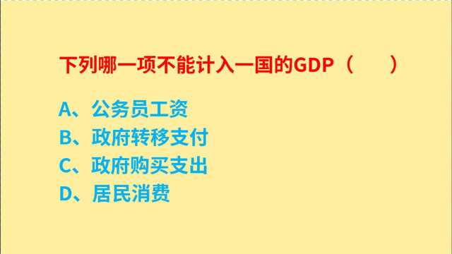 公务员考试,下列哪一项不能计入一国的GDP?常识知识