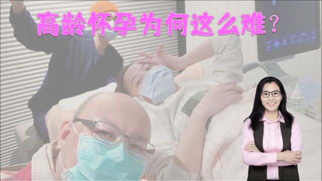 赵小侨三次试管终于成功,孕16周却“胎停”,高龄怀孕为何这么难