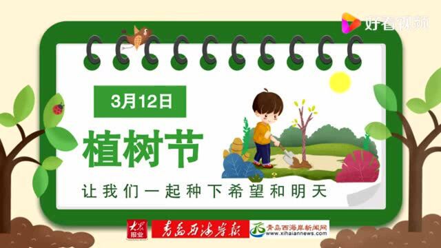 半岛叨叨丨你欠多少棵树?青岛“互联网+全民义务植树”倡议书发布!一文读懂为什么植树是公民义务