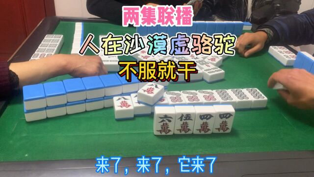 四川麻将:人在沙漠虚骆驼,不服就干