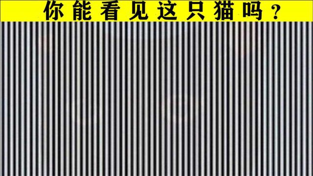 4个没人能笑着走出去的视力测试,竖线背后有图案?骗人的吧!