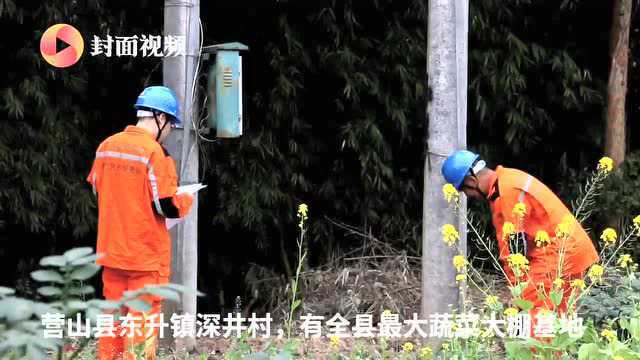 四川南充营山:党员服务队下乡进村 田间地头助力春耕春灌