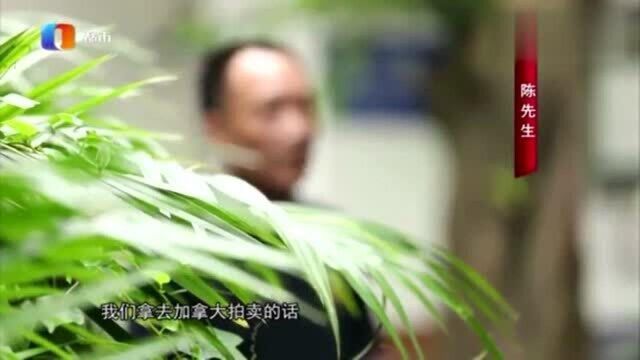 “古董拍卖”骗局曝光,上至人员资质下至公司布置,竟全都是假象