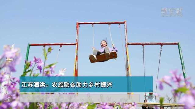 江苏泗洪:农旅融合助力乡村振兴