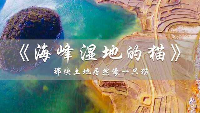 海峰湿地公园,岸边的土地像一只猫头,这个地方太美了