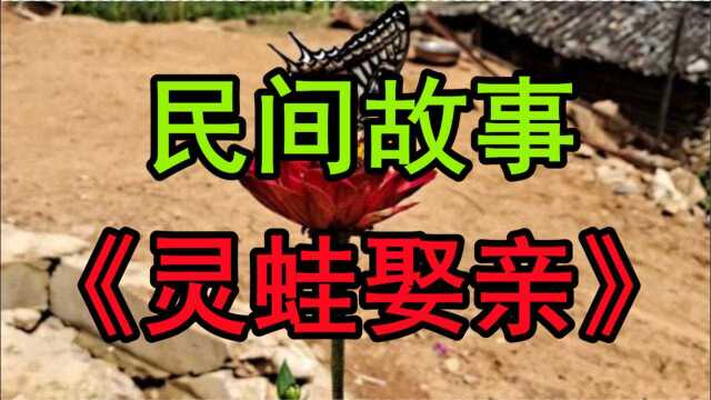 民间故事《灵蛙娶妻》从前在北方黄土高原的村庄里住着一对老夫妻