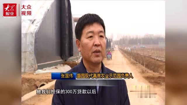 诸城破解融资“难贵烦”,助力现代农业发展