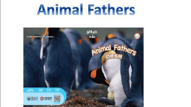 多维阅读第4级Animal Fathers(动物爸爸)