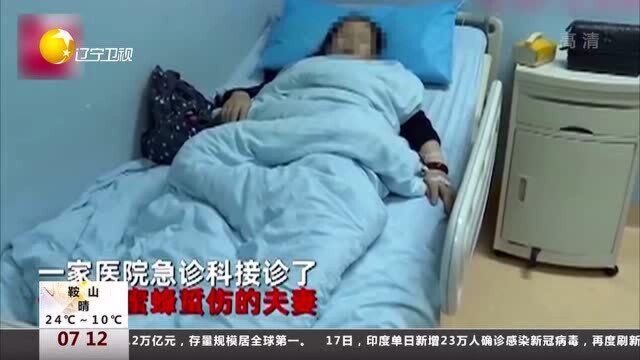 踏春带回一身包,丈夫脱衣护妻被蜜蜂蛰上百下