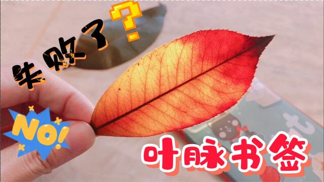 创意手工:小姐姐制作精美的叶脉书签,结果为何跟想象的不一样?