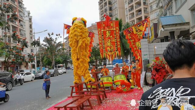 4月22日湛江一间美容院开业请醒狮团庆祝,吸引关注,广而告之