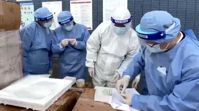 再次走私人体细胞247支 上海一生物科技企业被查