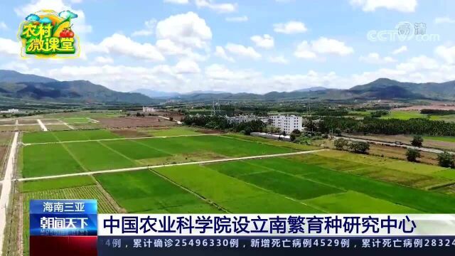 522海南三亚中国农业科学院设立南繁育种研究中心