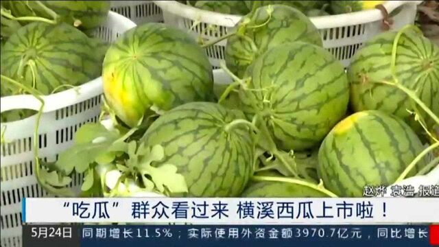 夏日来临 “吃瓜”群众看过来 横溪西瓜节上市啦!